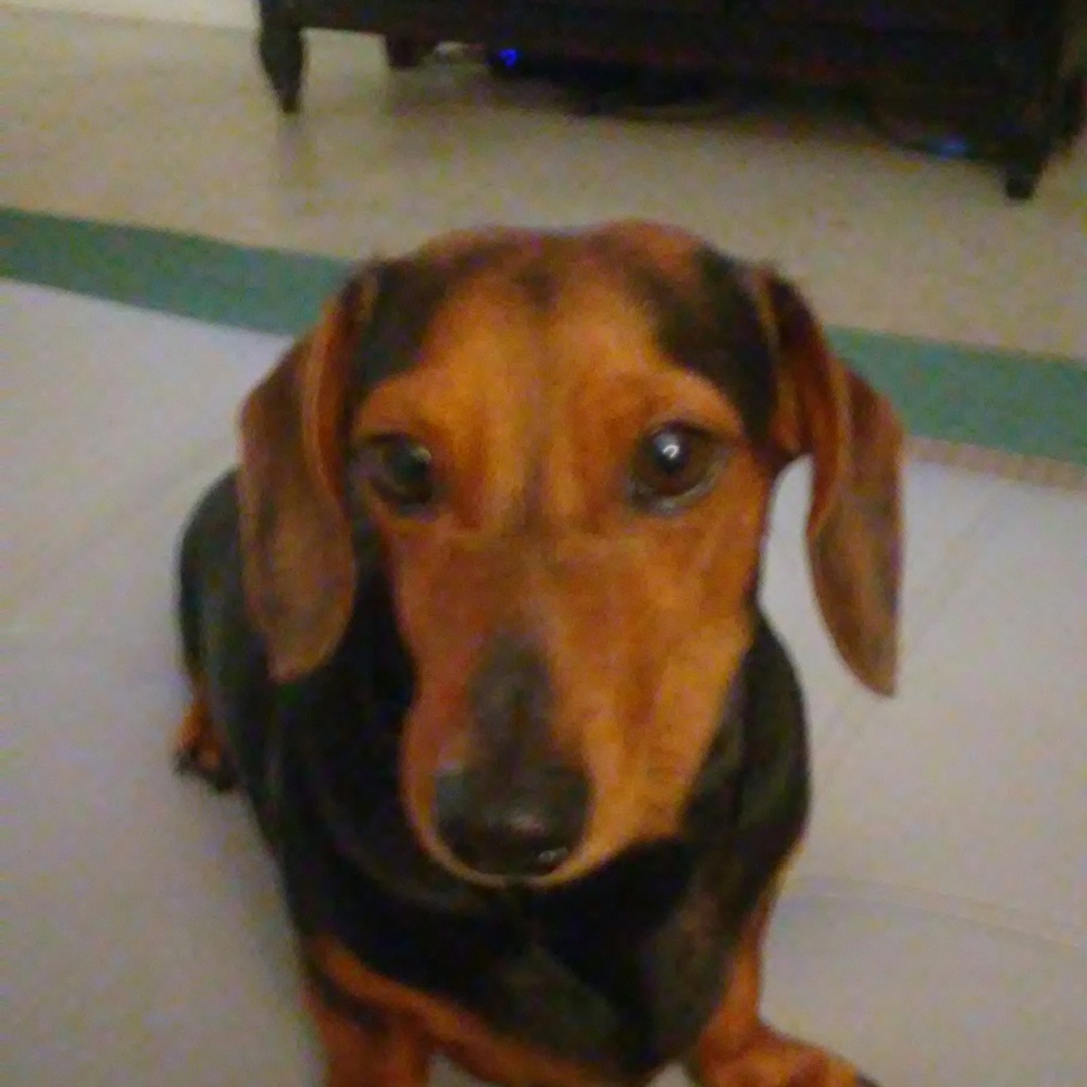 Meet your Posher, Cindy